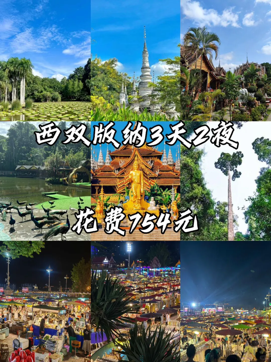 05女大📍西双版纳｜穷鬼版3天2夜详细攻略！