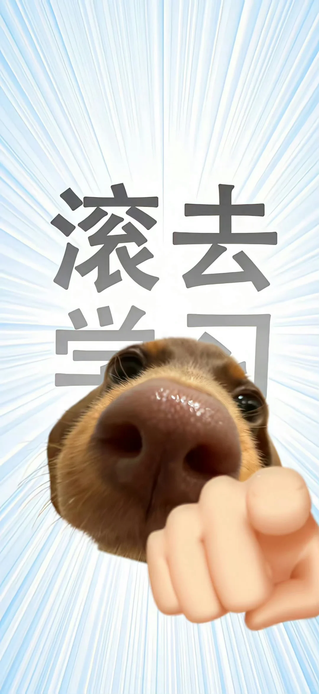 一期搞怪壁纸分享