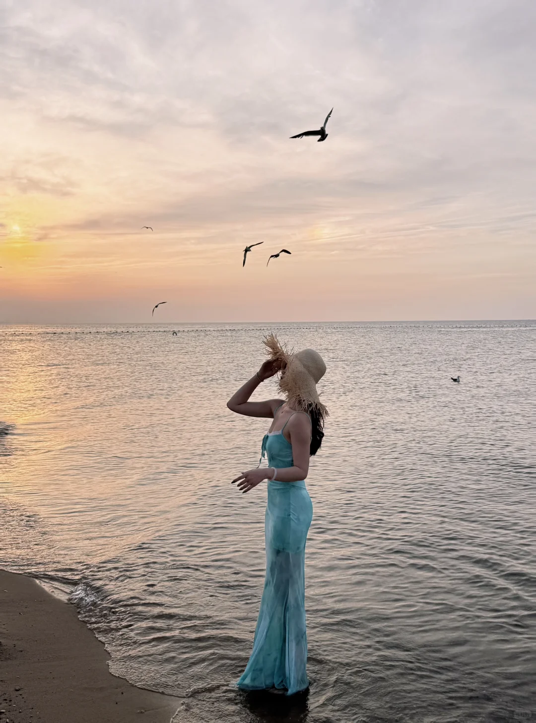 去看海了，晚霞和海鸥都很好看🌊