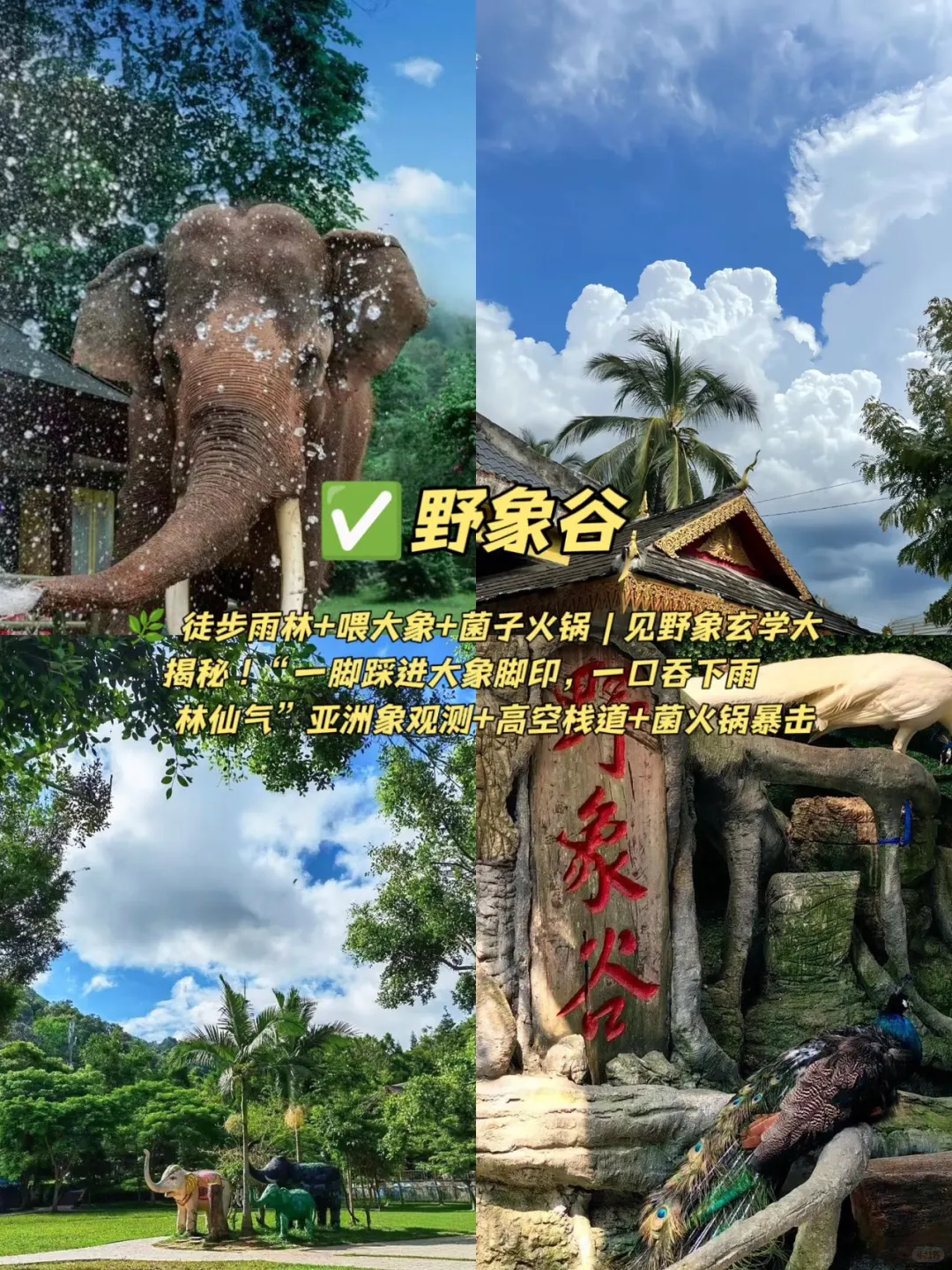 05女大📍西双版纳｜穷鬼版3天2夜详细攻略！