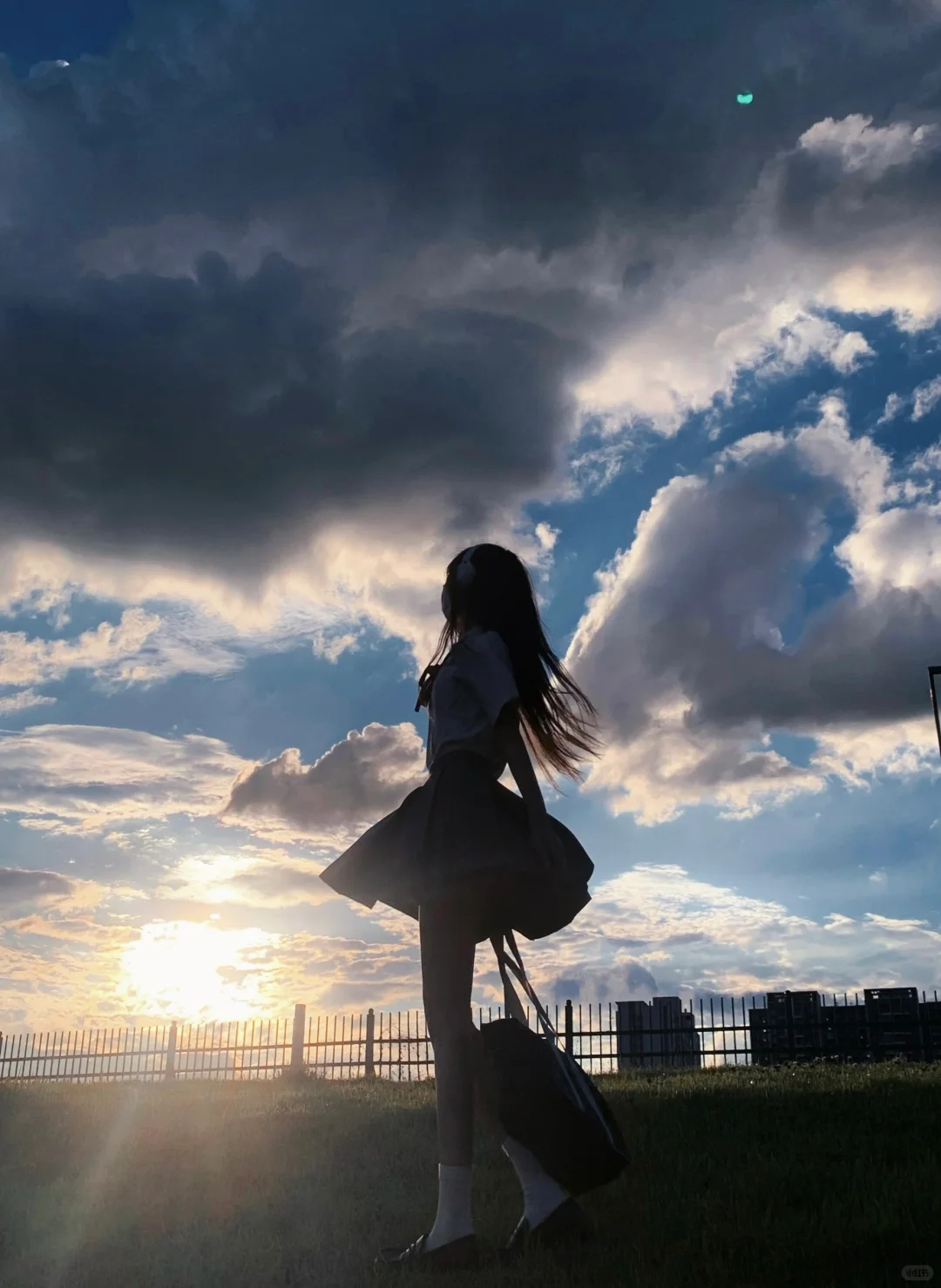 蝉鸣的夏季 我想遇见你