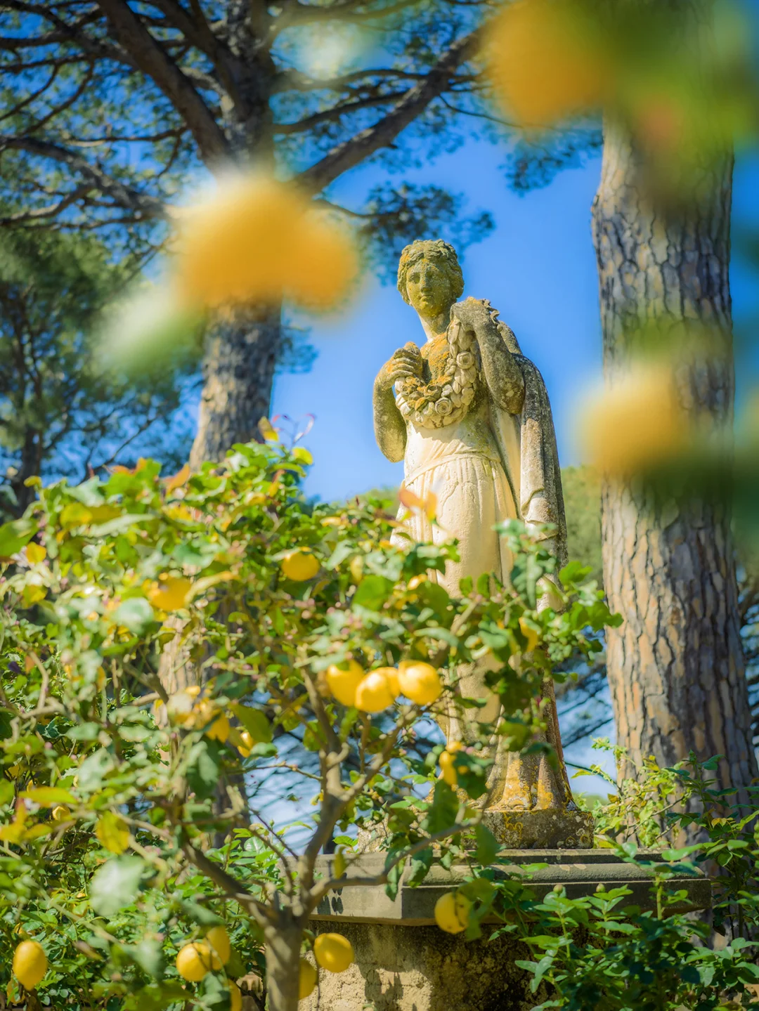 𝓁ℯ𝓂ℴ𝓃 𝒿ℯ𝓁𝓁𝓎 𝓈ℯ𝒶 | 🍋