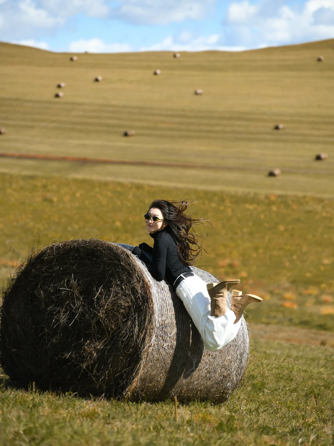 草原瑞士卷给的生命力！💃🏻