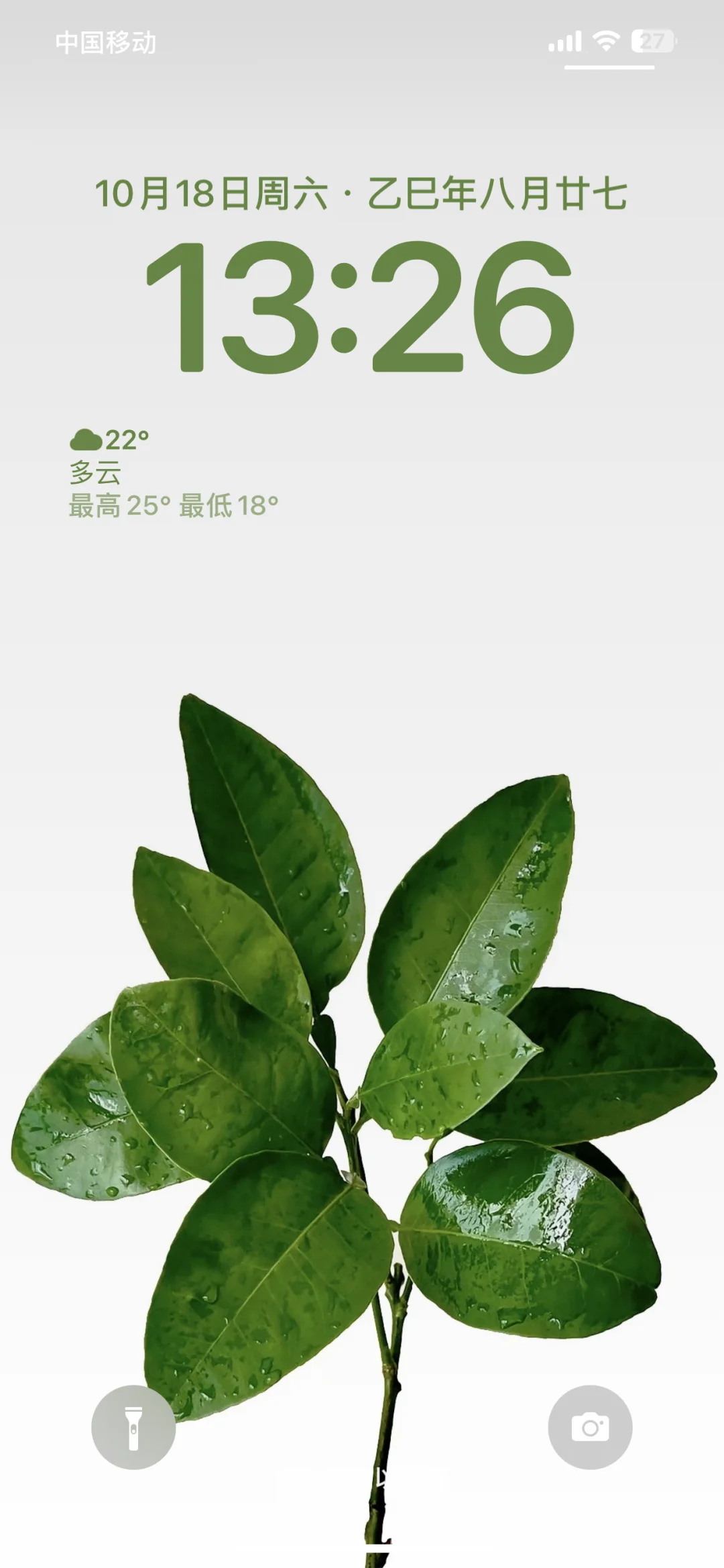 主打一个听劝！柚子叶好运🍀壁纸安排上～