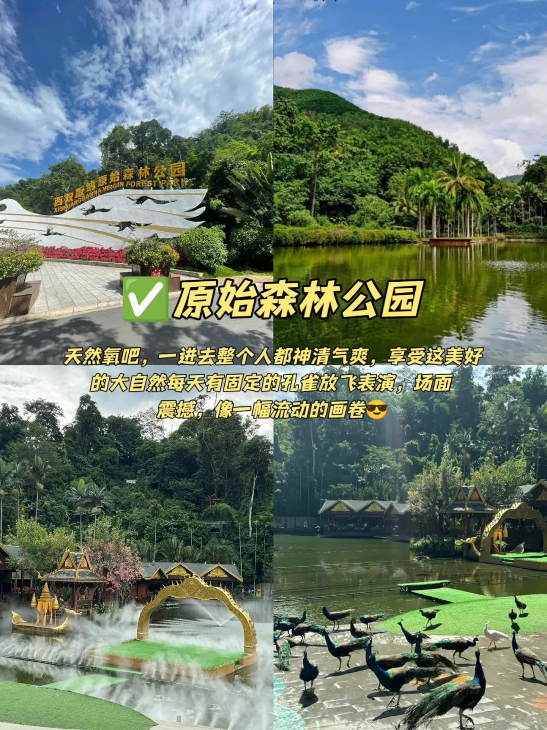 05女大📍西双版纳｜穷鬼版3天2夜详细攻略！