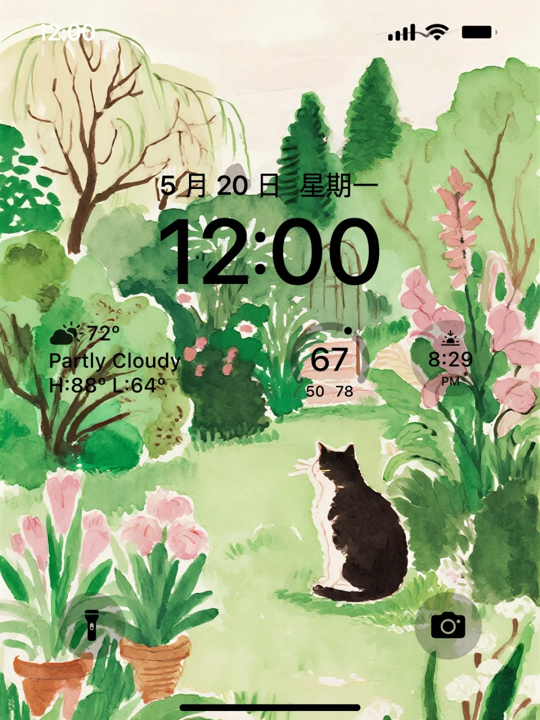 治愈系壁纸｜花园、猫咪、鲜花