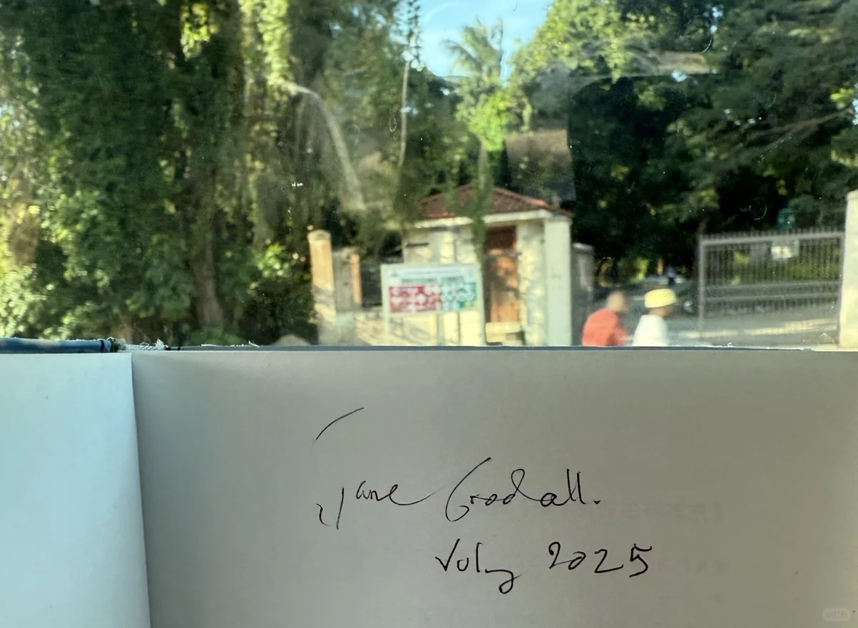 飞机上遇见了珍·古道尔（Jane Goodall）女士