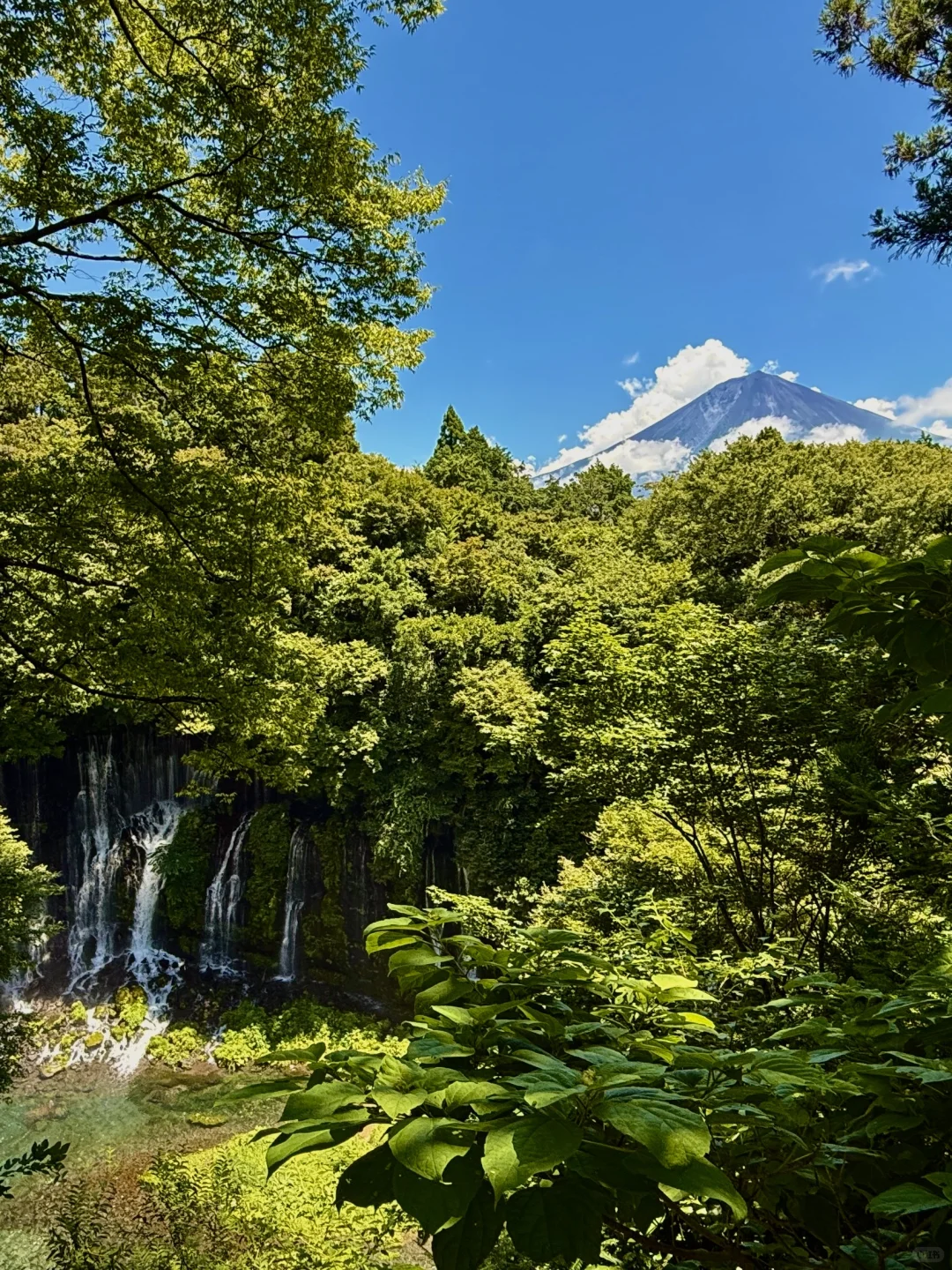 静冈「白丝瀑布」｜富士山+绝美瀑布同框