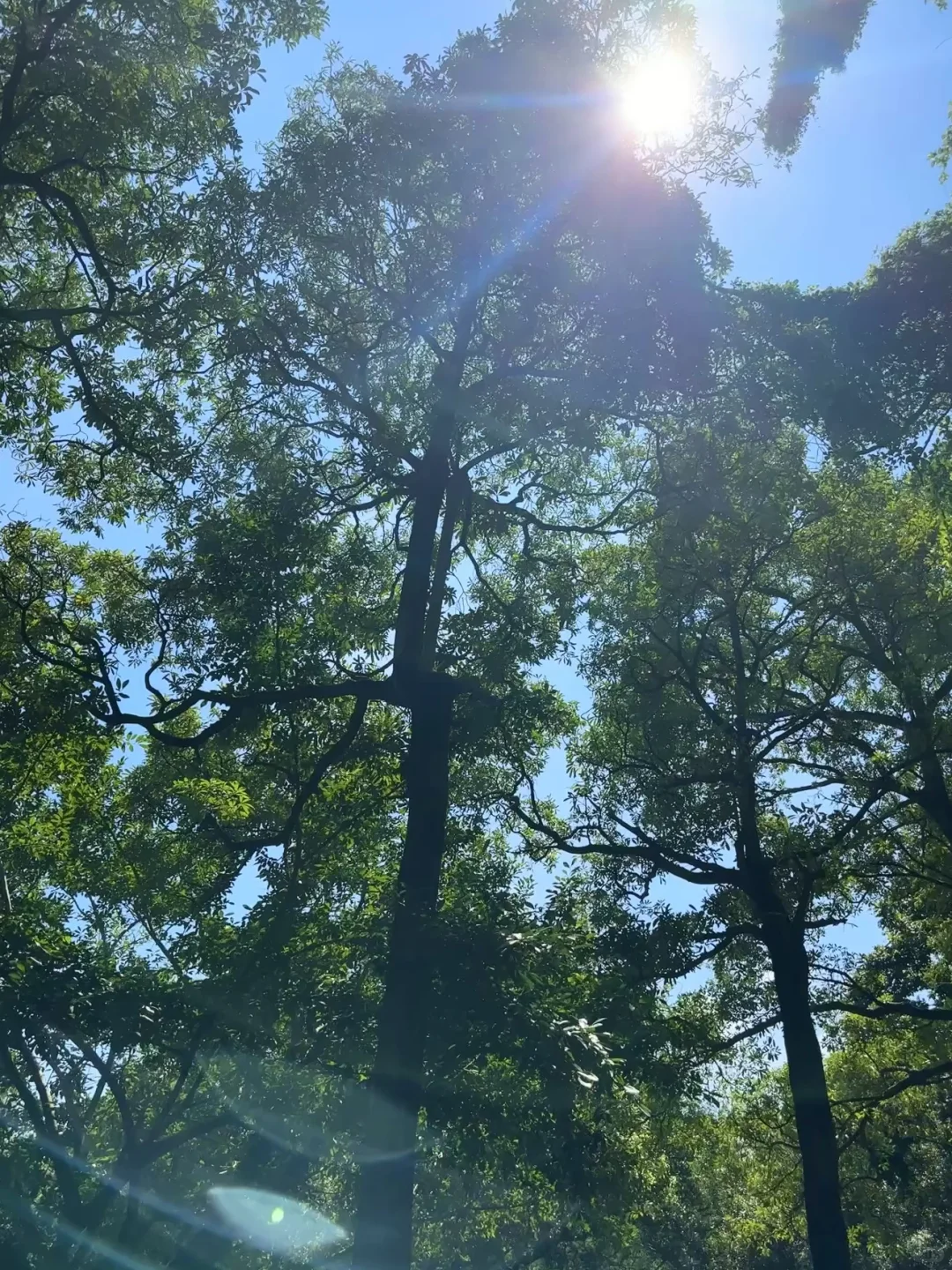 这几天吃进去的热量要一笔勾销喔⌯'ㅅ'⌯🤝🏻