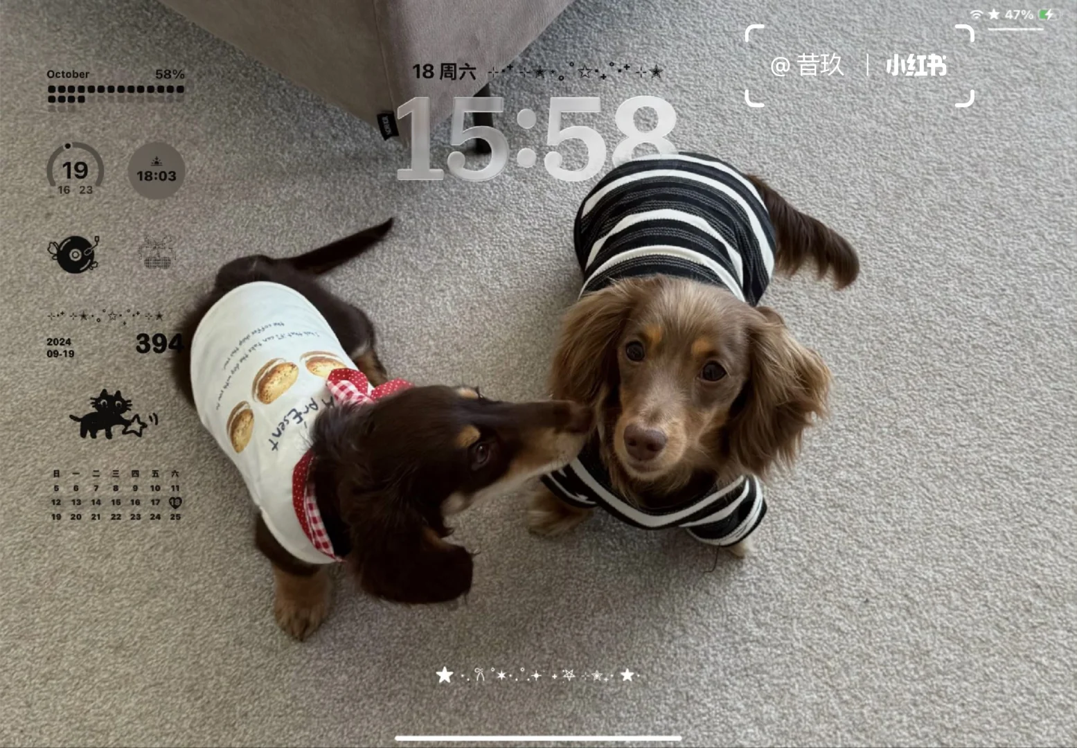 好喜欢我的iPad壁纸՞˶･֊･˶՞