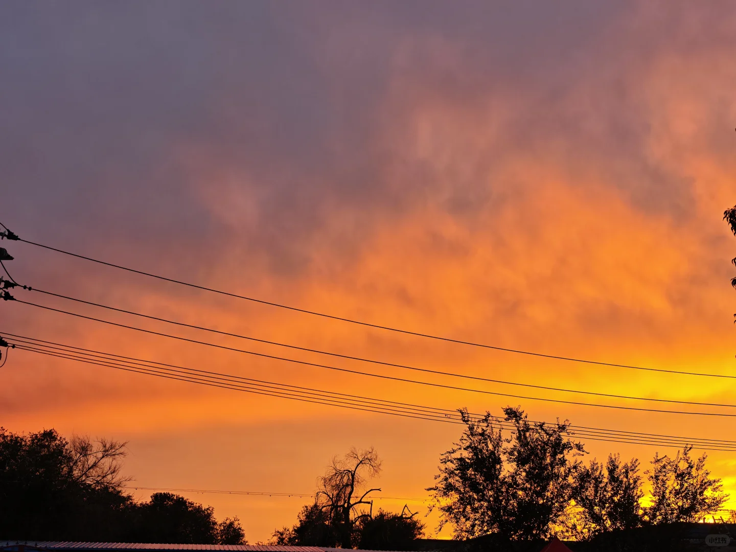 30岁已婚阿姨的一天～