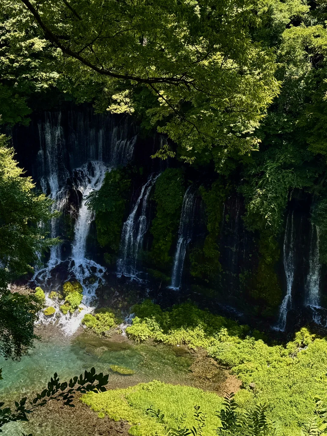 静冈「白丝瀑布」｜富士山+绝美瀑布同框