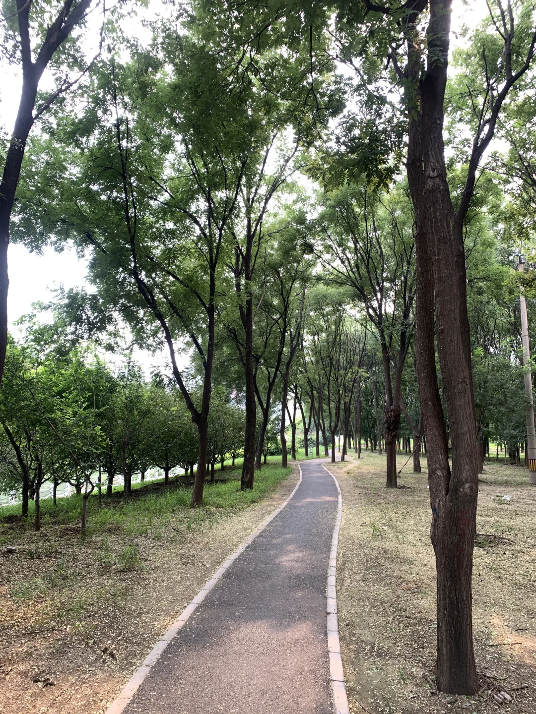 43岁｜中年模特 素人模特