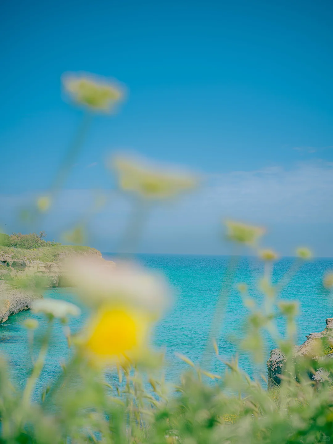 𝓁ℯ𝓂ℴ𝓃 𝒿ℯ𝓁𝓁𝓎 𝓈ℯ𝒶 | 🍋