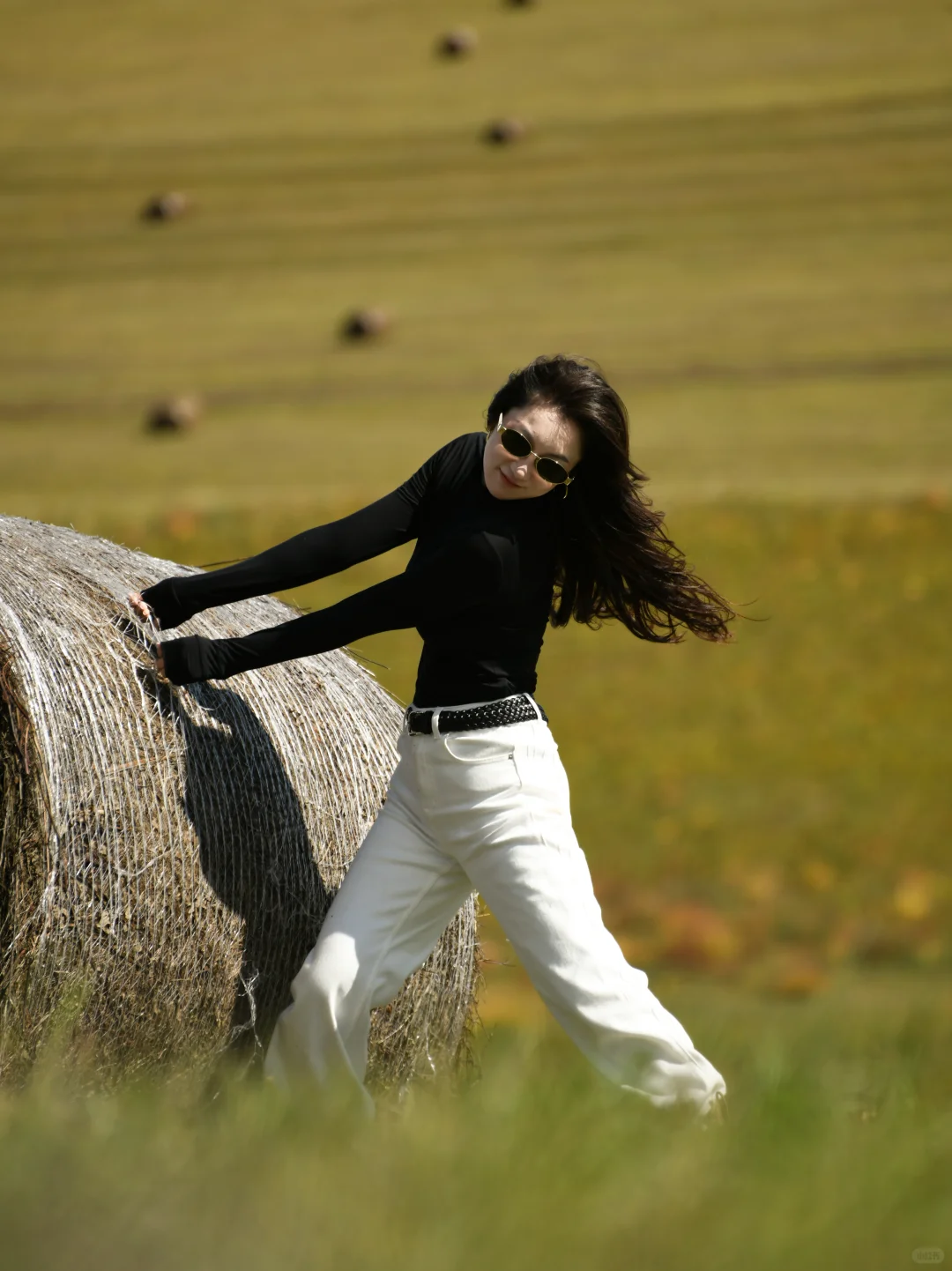 草原瑞士卷给的生命力！💃🏻