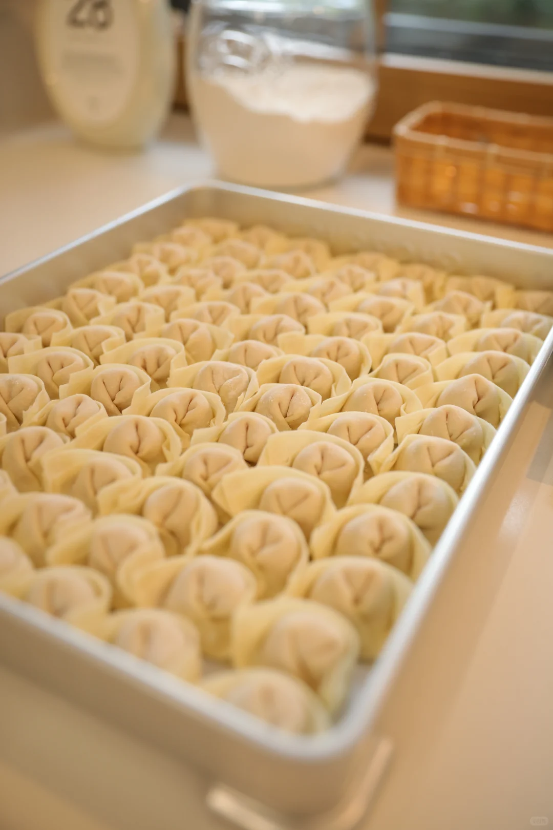 宝藏女朋友包的馄饨