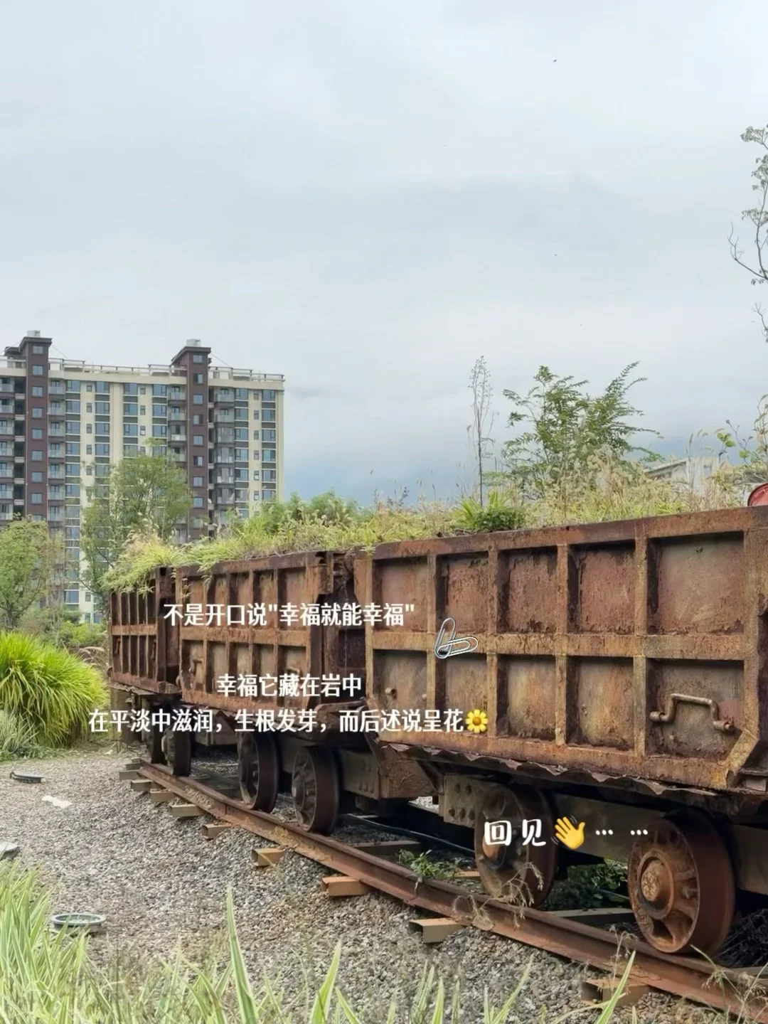 30+异地上岸女｜专注工作纯粹生活，无谓无畏