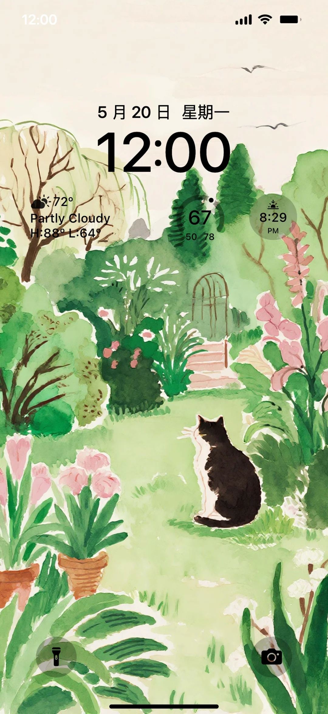 治愈系壁纸｜花园、猫咪、鲜花