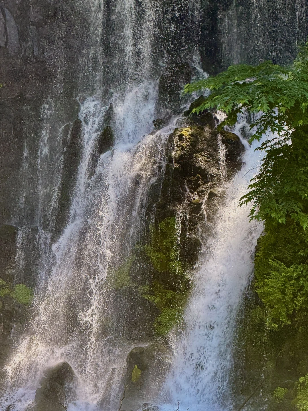 静冈「白丝瀑布」｜富士山+绝美瀑布同框