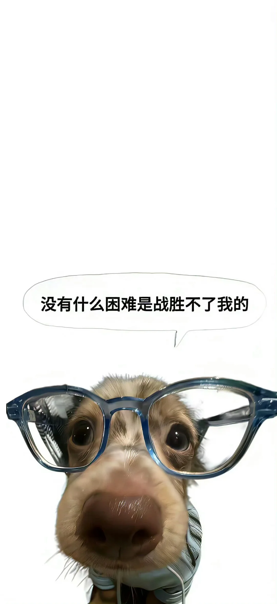 一期搞怪壁纸分享