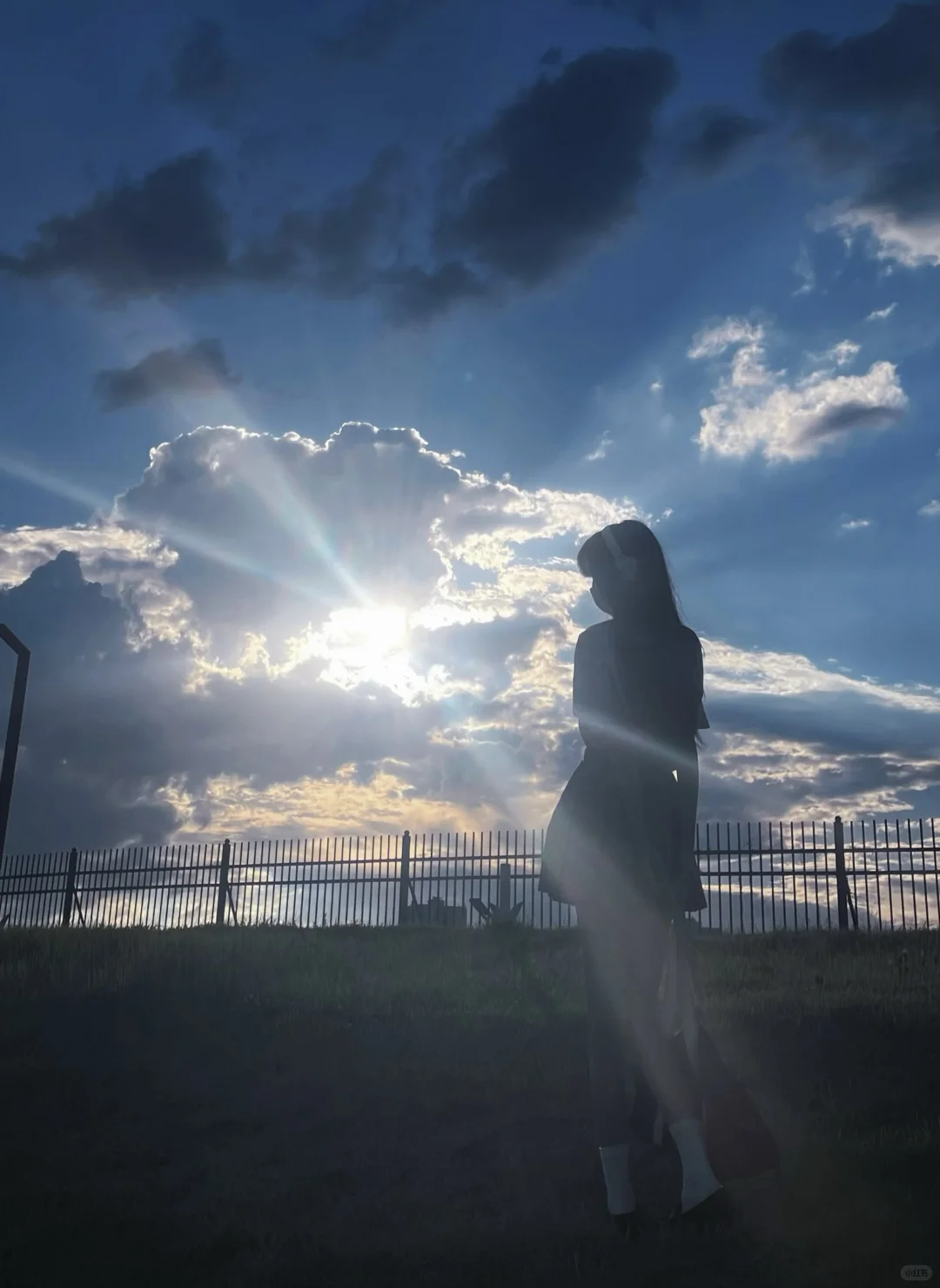 蝉鸣的夏季 我想遇见你