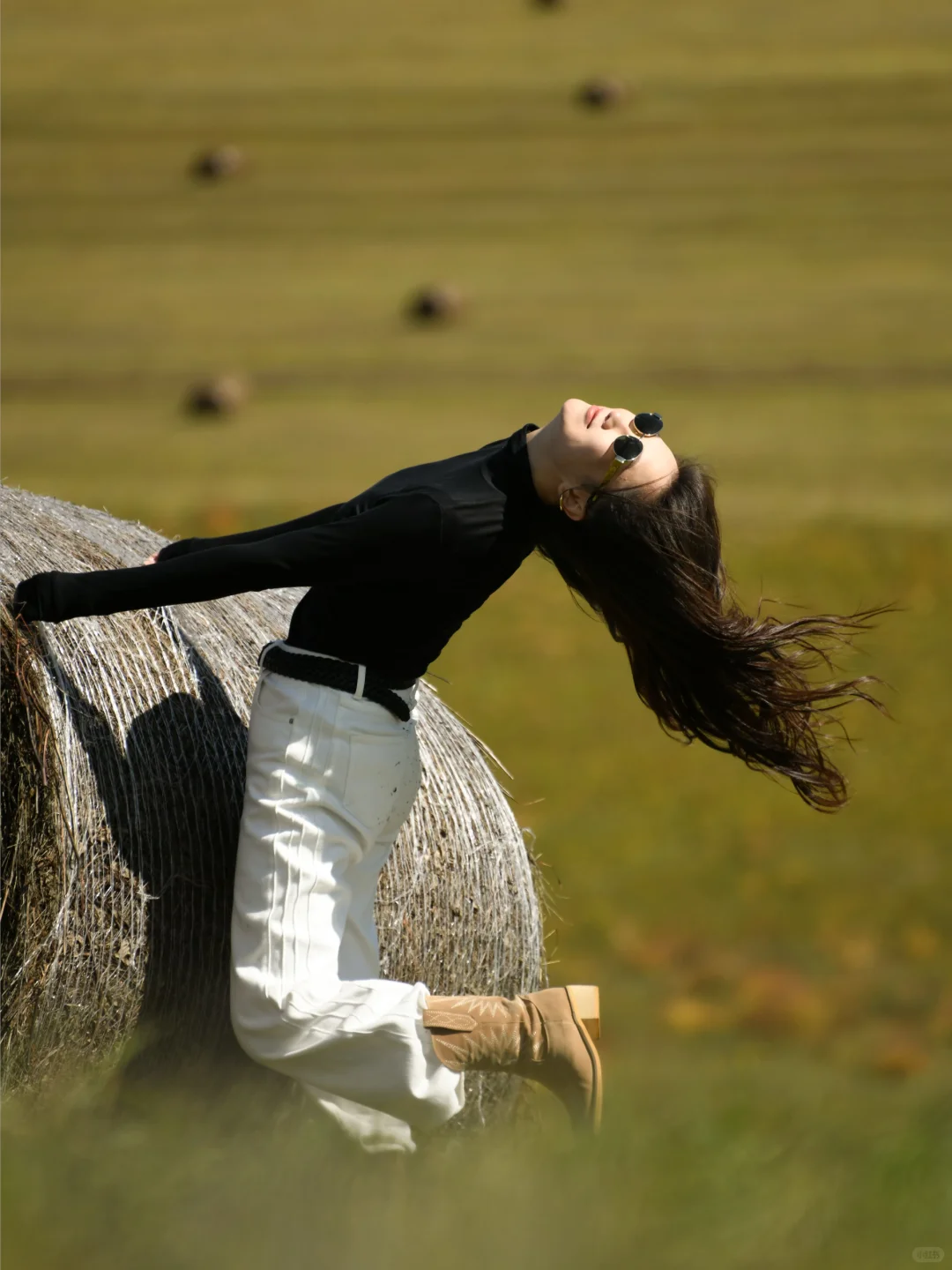 草原瑞士卷给的生命力！💃🏻