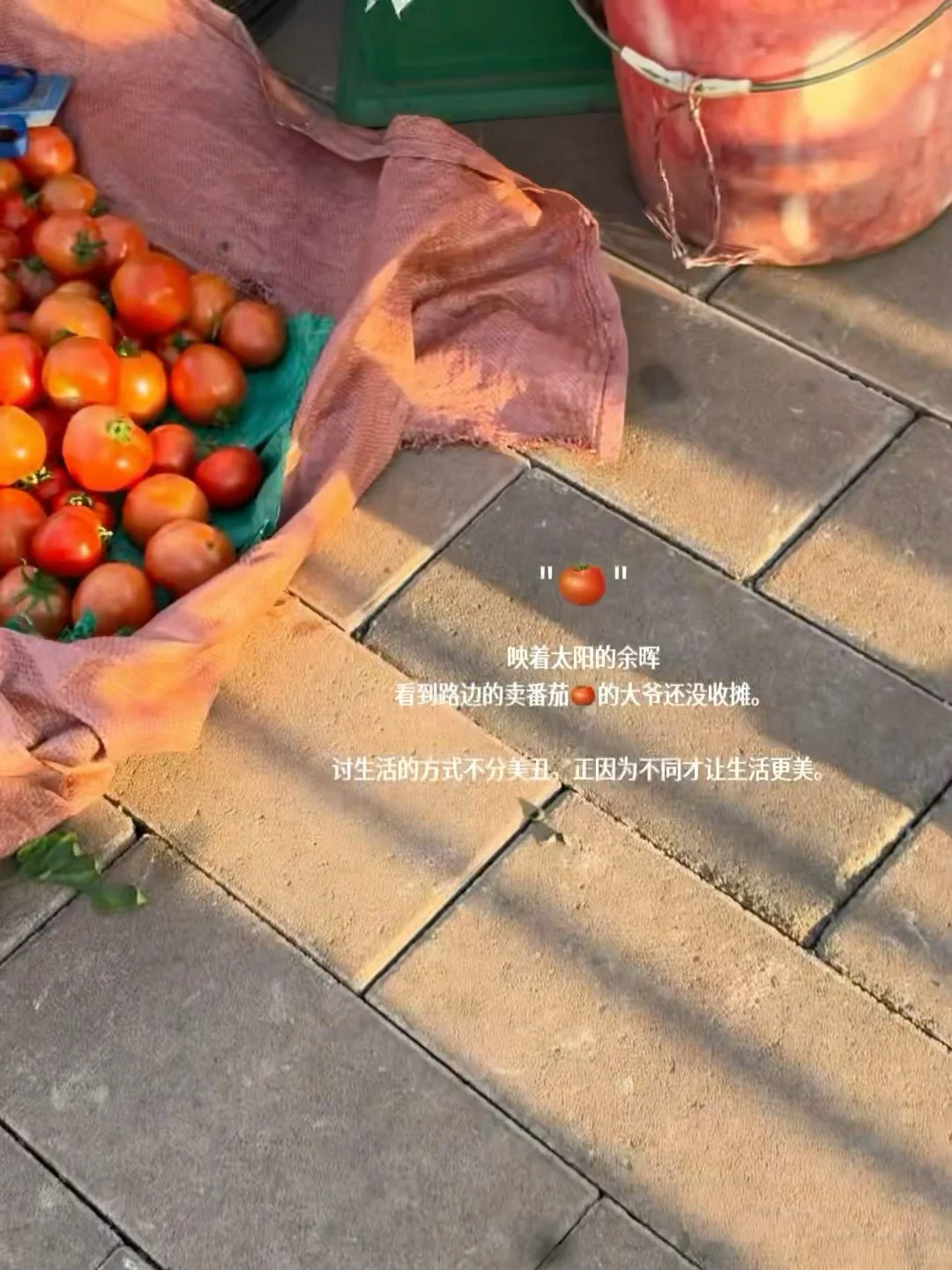 30+异地上岸女｜专注工作纯粹生活，无谓无畏