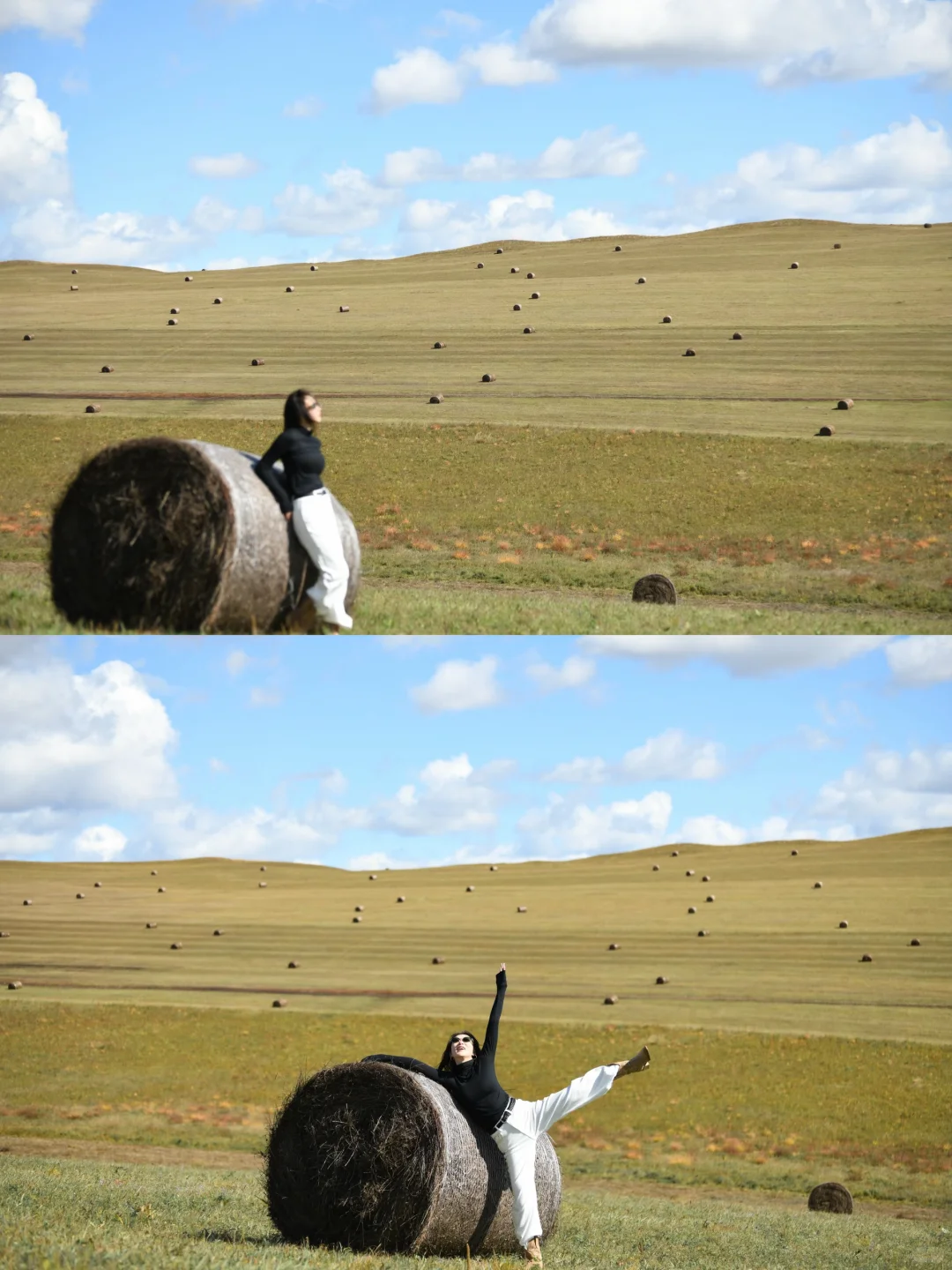 草原瑞士卷给的生命力！💃🏻