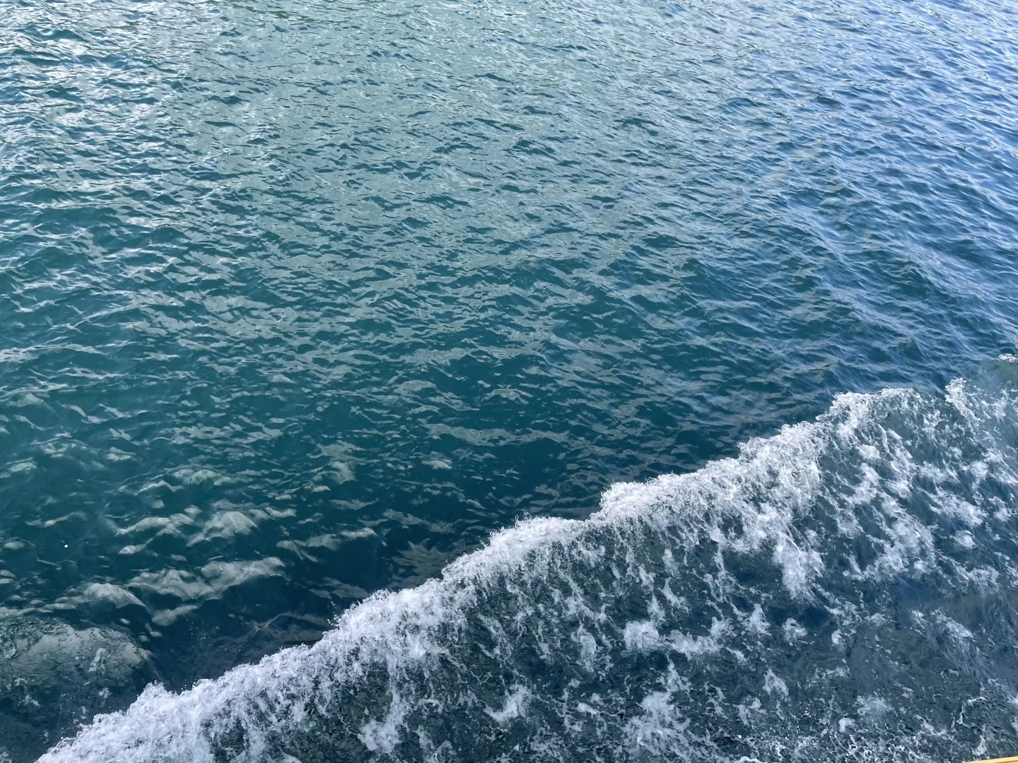 被可爱奶奶夸了可爱的一天