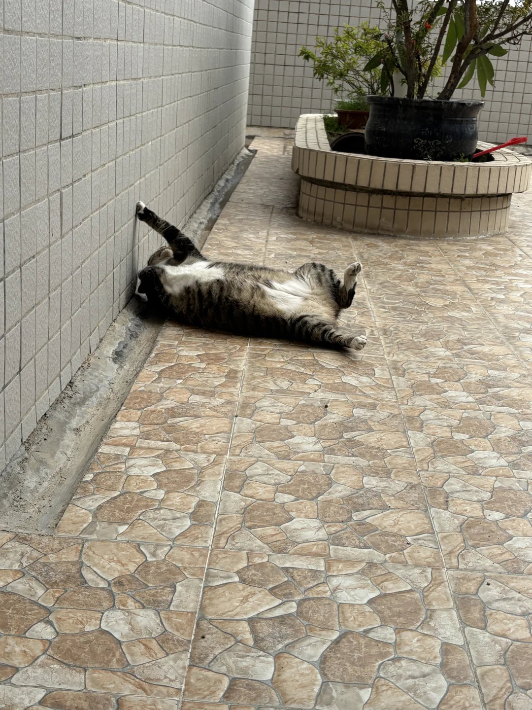 周末的快乐源于