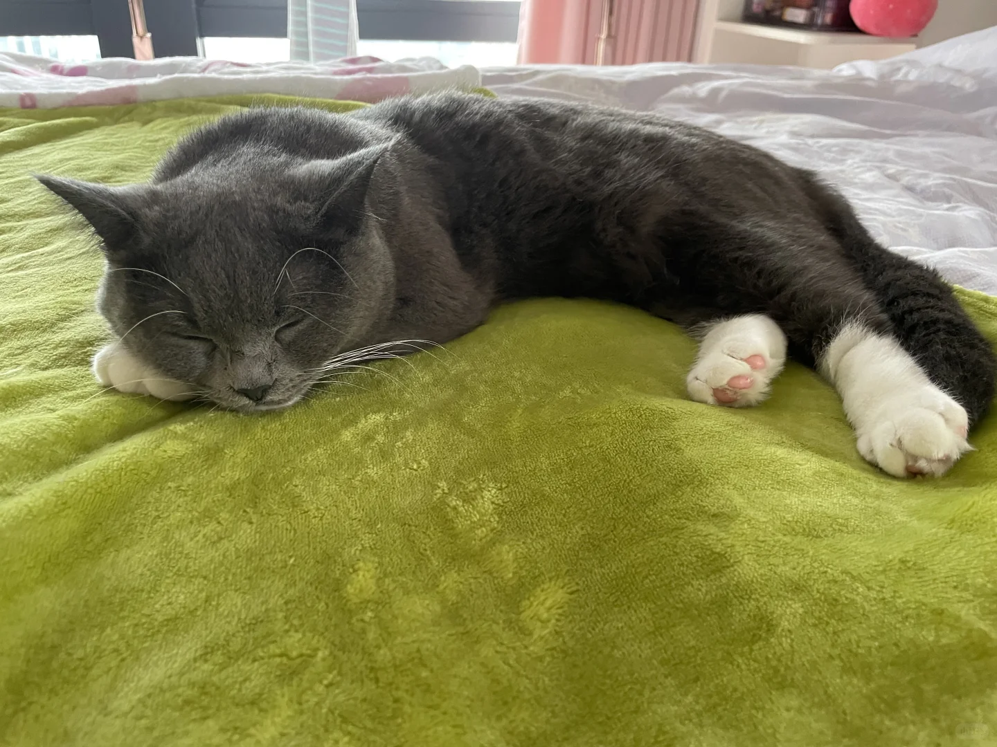 各种妖娆的睡姿😂