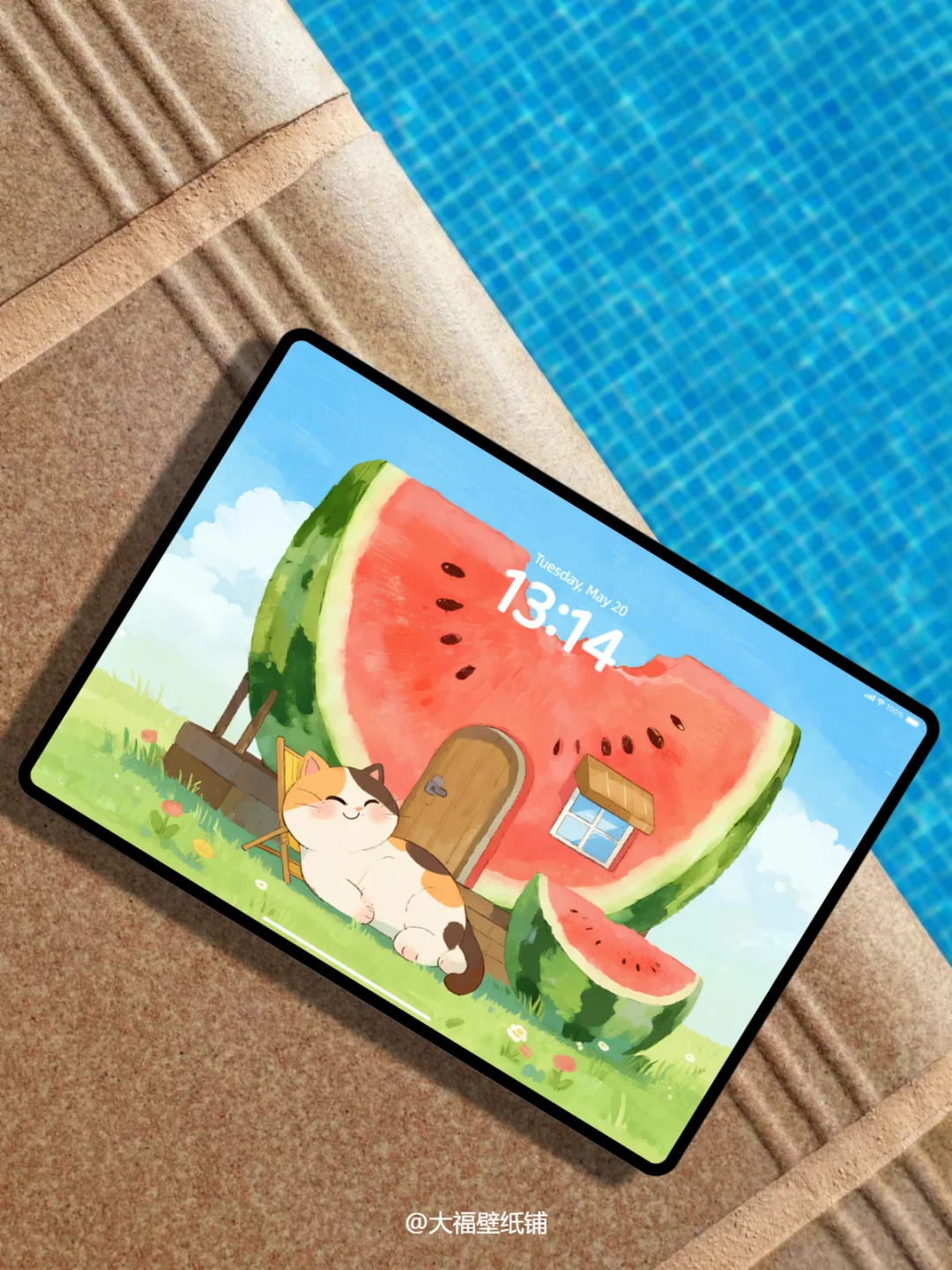 平板壁纸丨16丨西瓜屋与猫