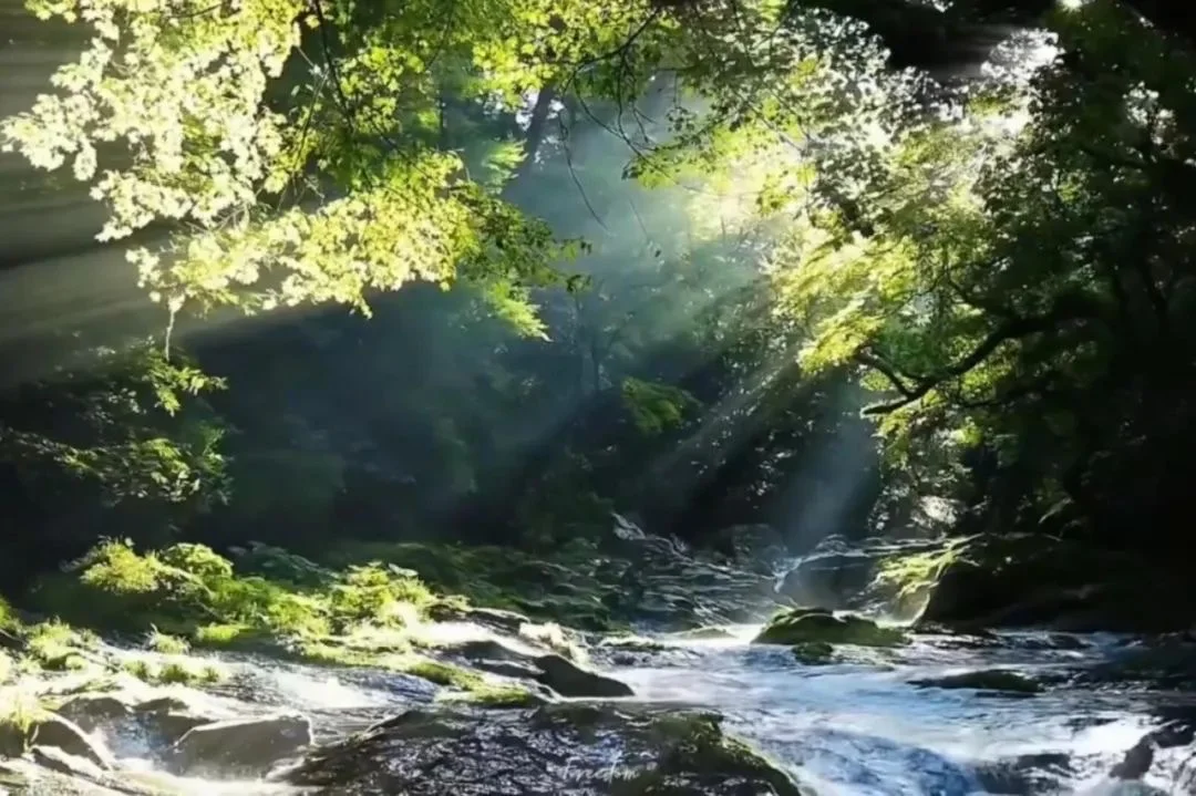 𝑺𝒉𝒂𝒓𝒆 | 超美的ipad平板壁纸