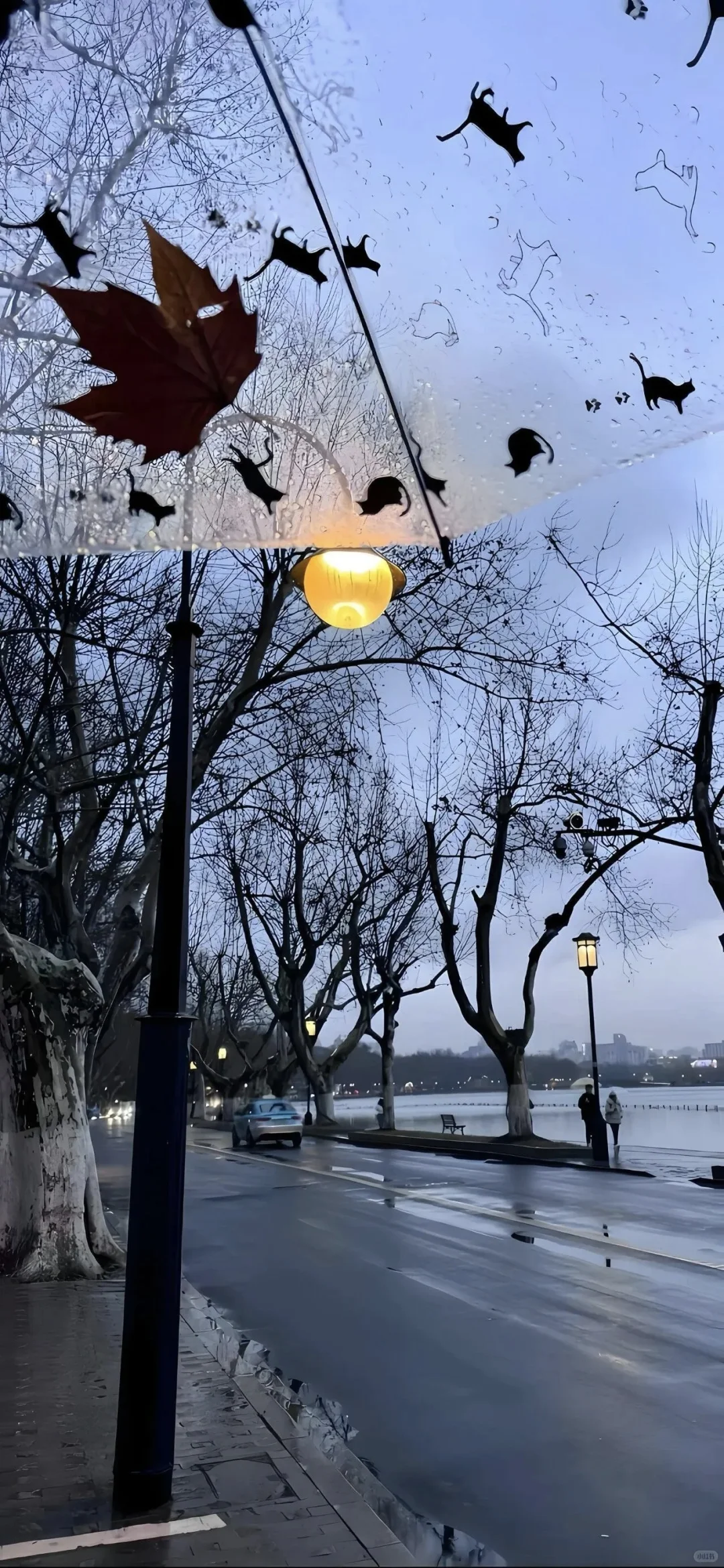 ins风小众氛围感壁纸(´∀`)