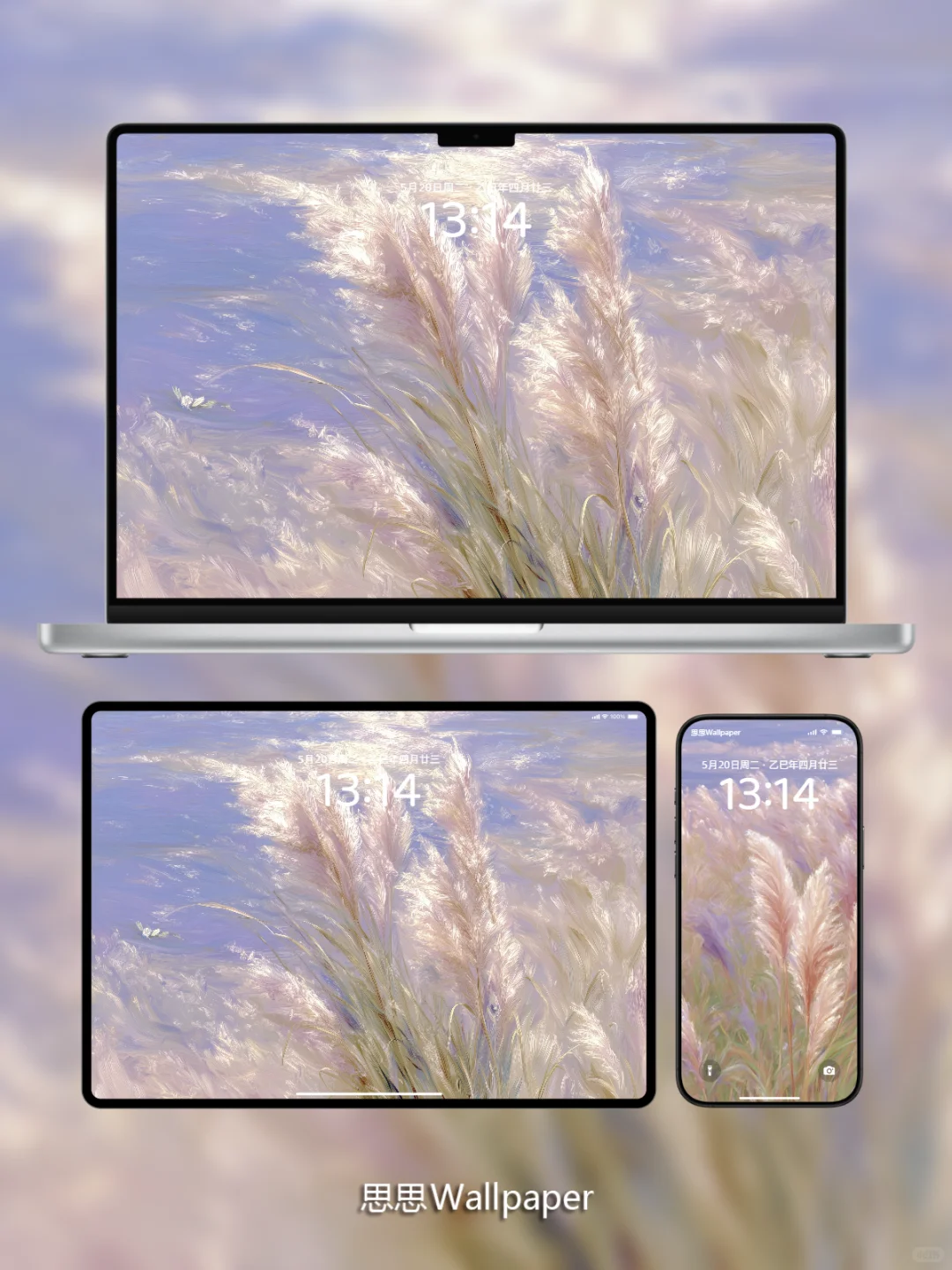 美到失语！谁能拒绝这幅粉色芦苇壁纸啊！💕