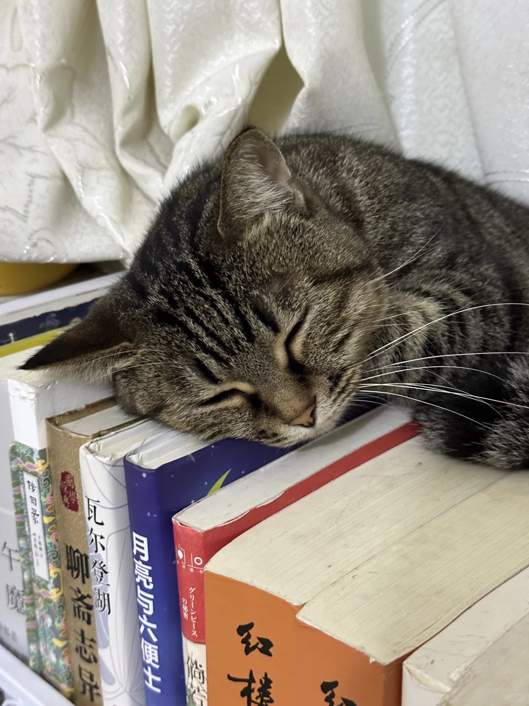 你这个姿势是怎么睡得着觉的😳