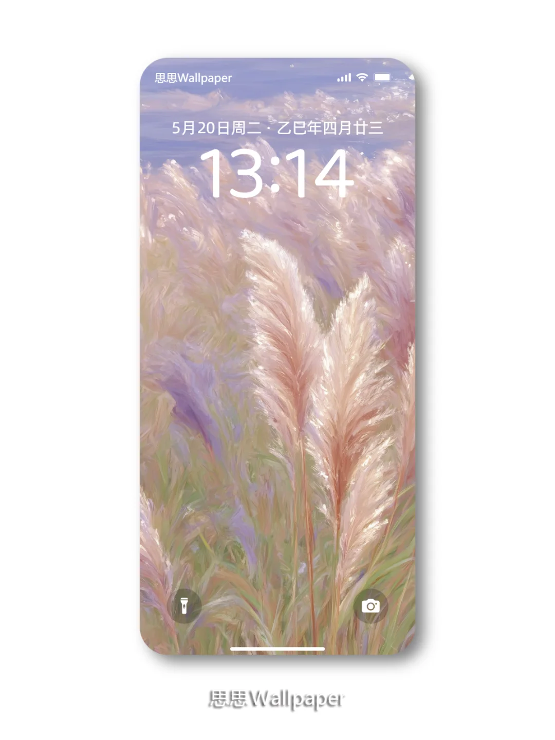 美到失语！谁能拒绝这幅粉色芦苇壁纸啊！💕