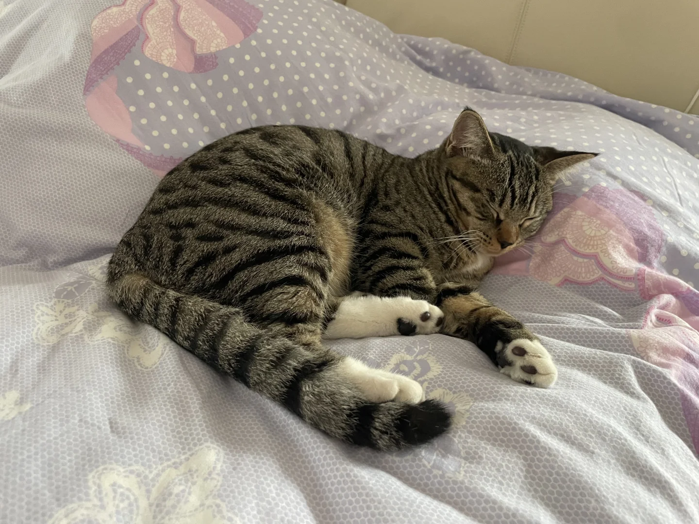 各种妖娆的睡姿😂