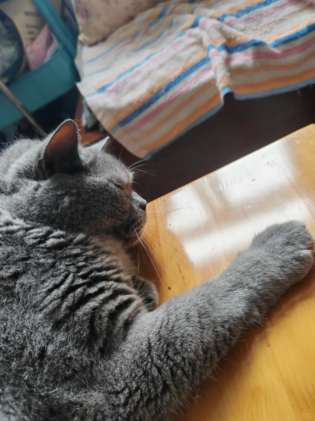 古风小生猫猫帖评论不忍仅留于评论区遂发之