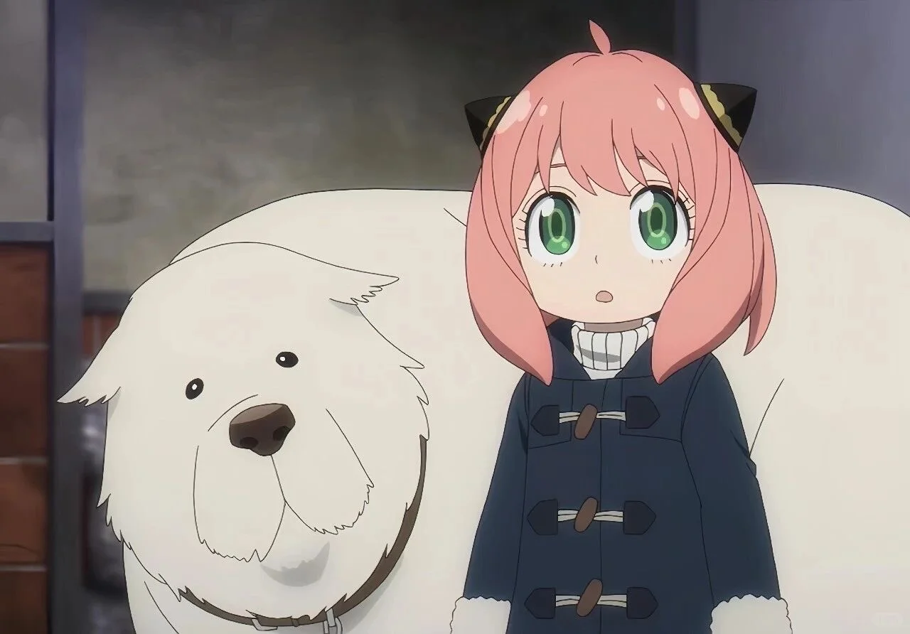 阿尼亚的平板壁纸来咯