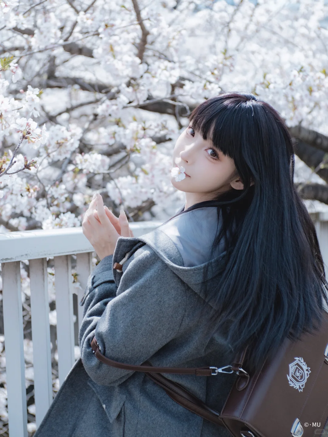 国产镜头已经next level了◾七工匠35㎜1.4