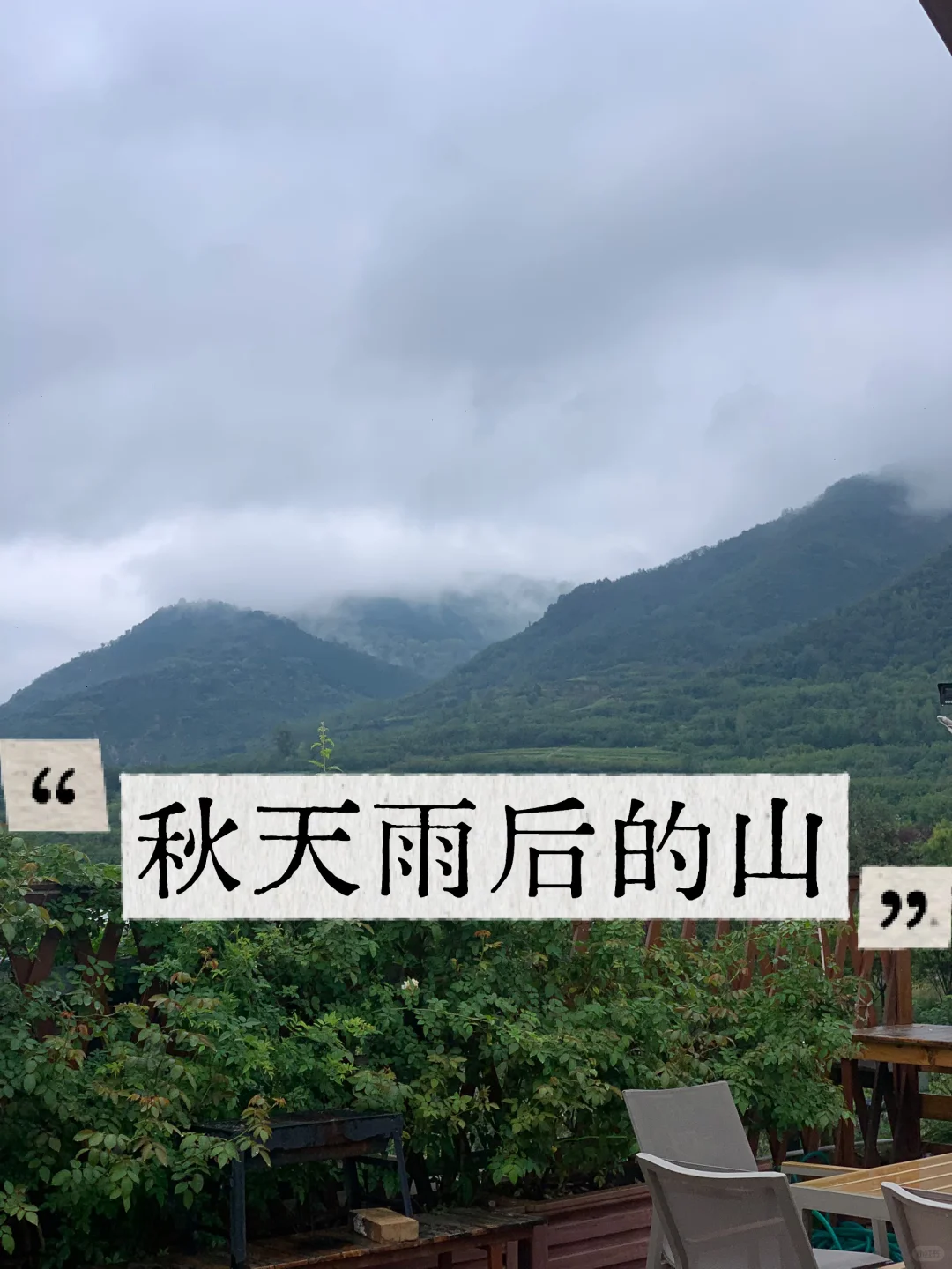 我看青山多妩媚，料青山看我应如是