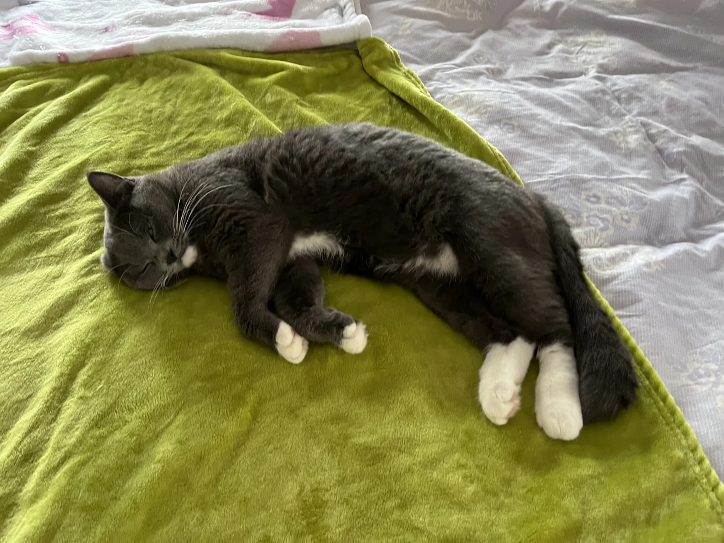 各种妖娆的睡姿😂