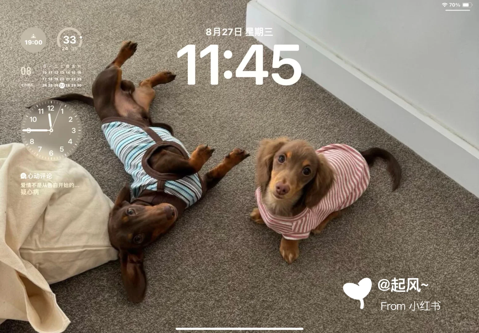 share｜iPad壁纸｜电脑壁纸 8.27