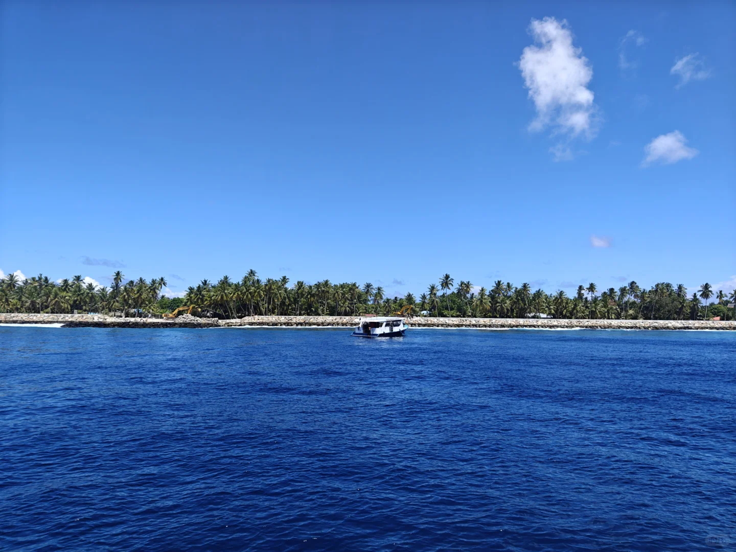 海风轻拂，阳光正好 🌞
