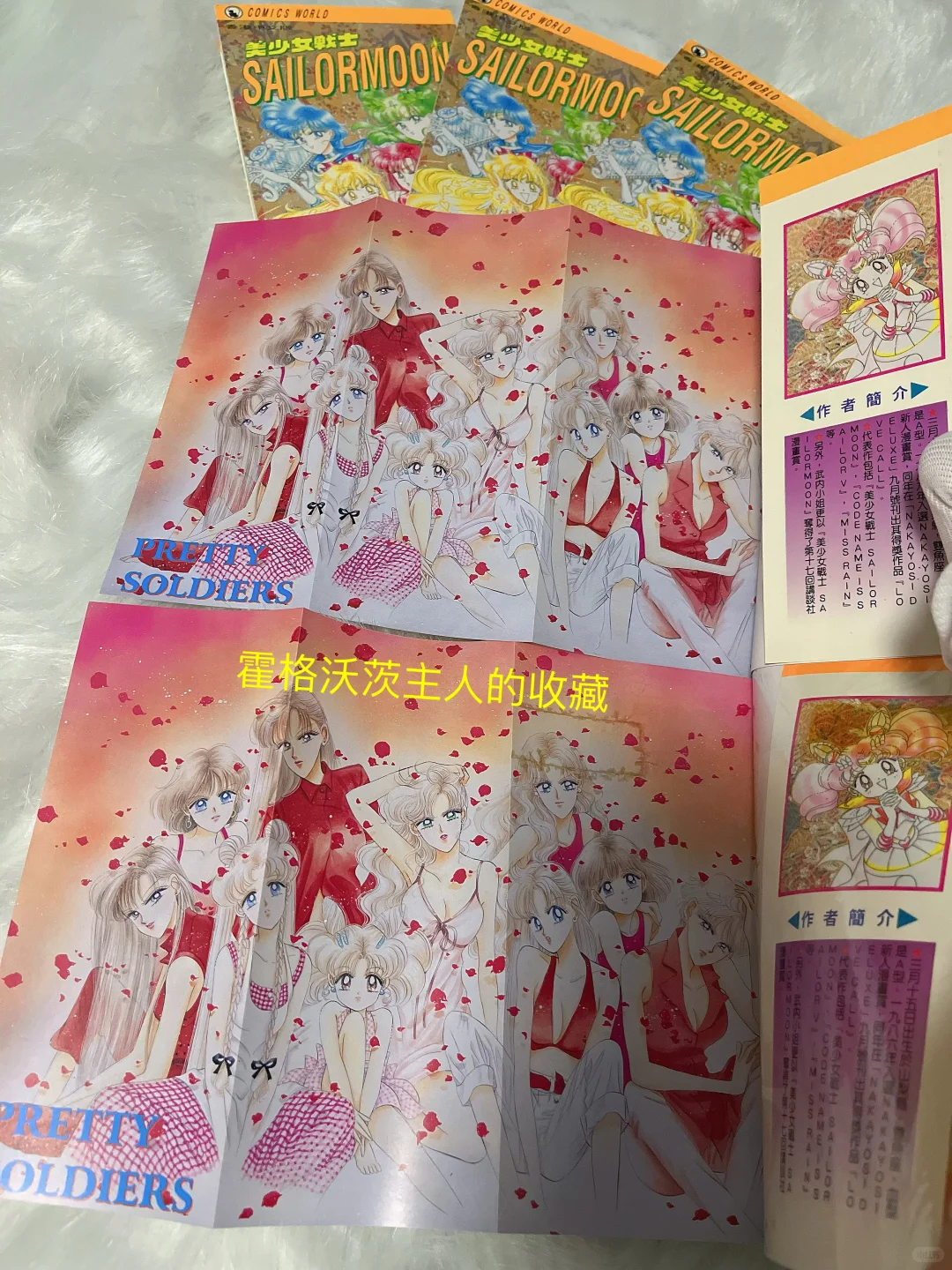 绝版古董～96年美少女战士13