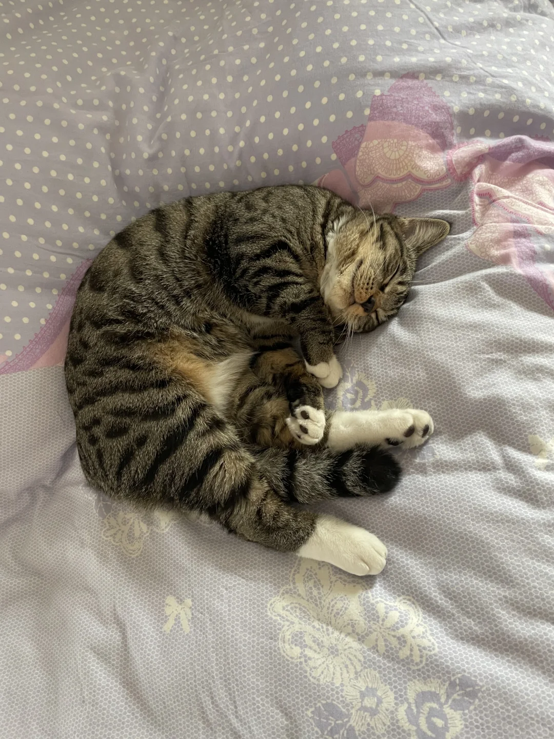 各种妖娆的睡姿😂