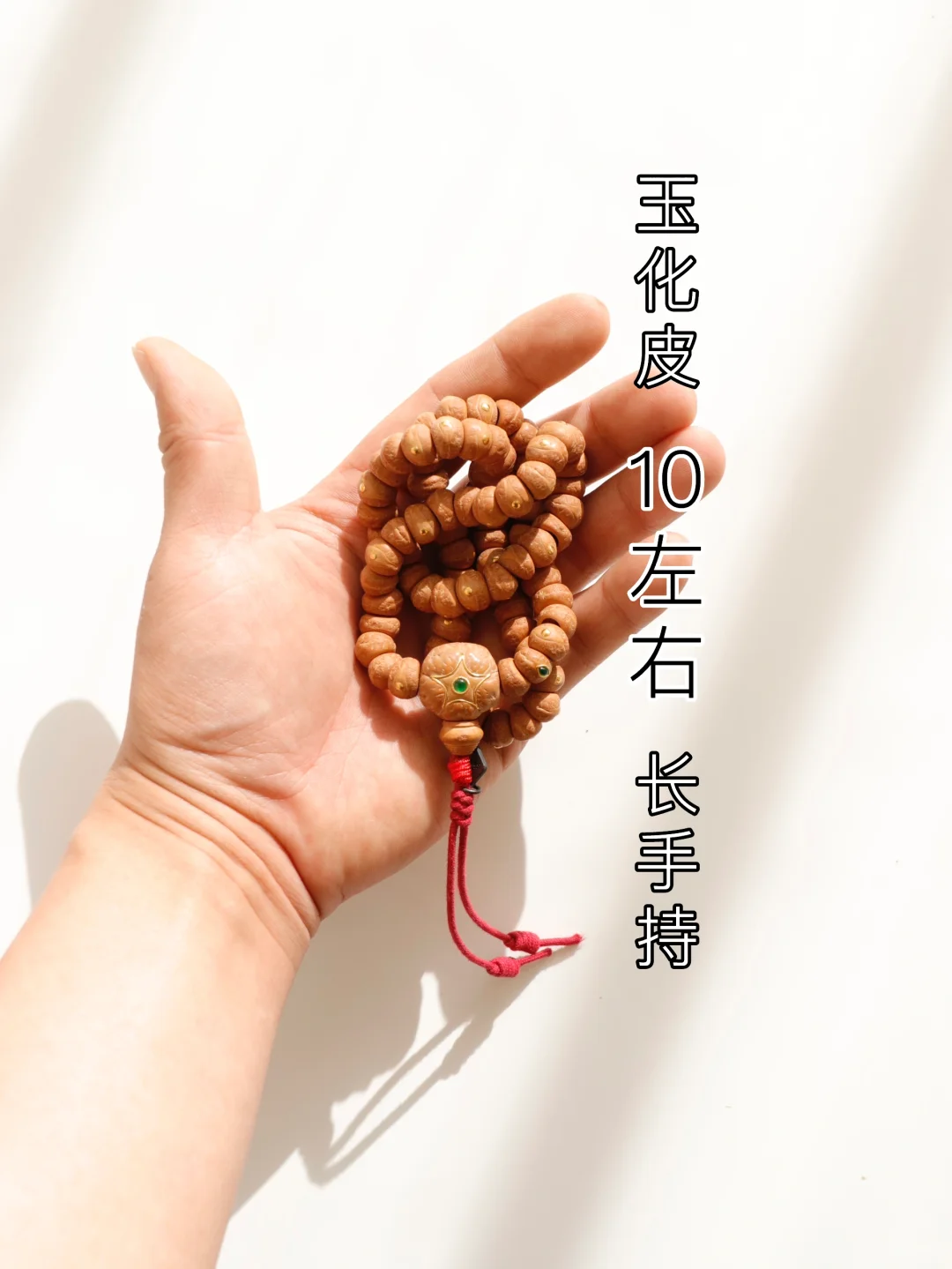 玉化皮质的凤眼大肠