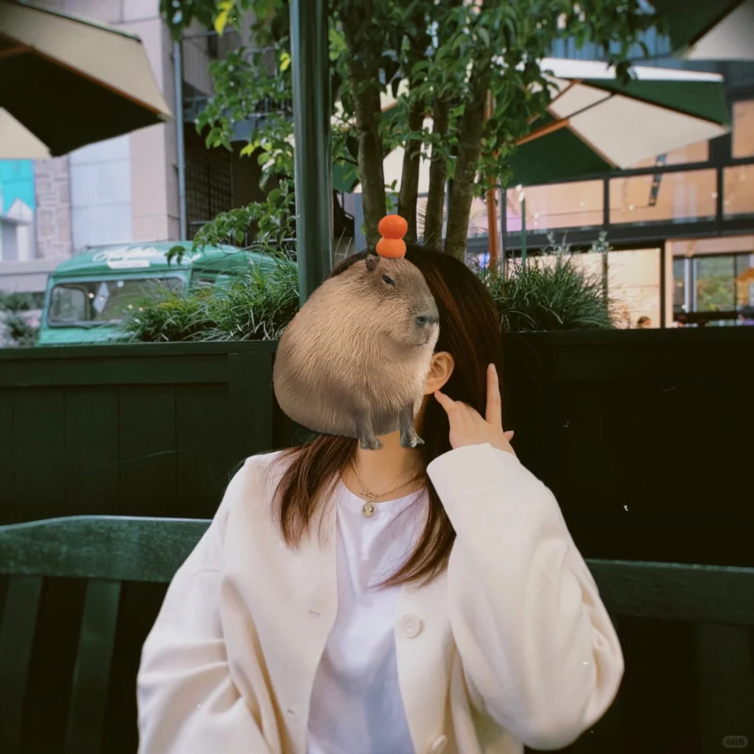 女找男🇯🇵东京超大手金融社畜找对象～