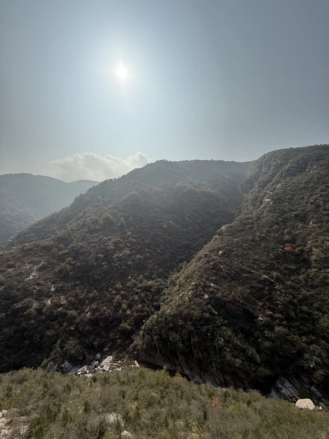 我见青山多妩媚，料青山，见我多如是